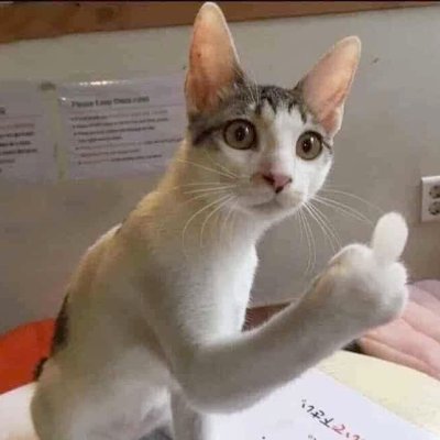 iamm's profile picture