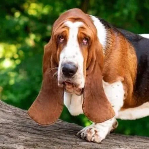 3150