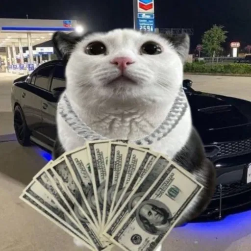 RichWissa profile
