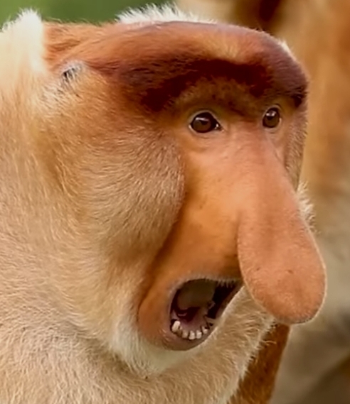 mateosir's profile picture