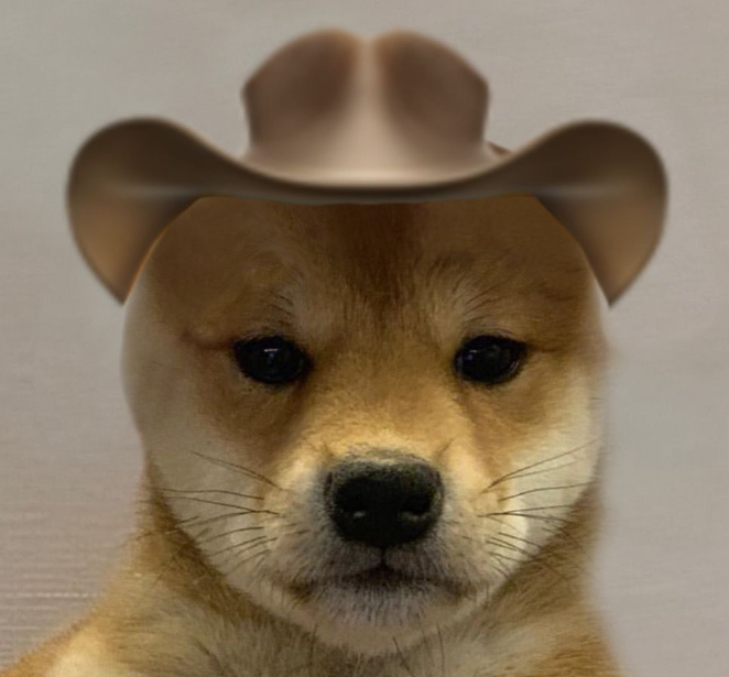 Dinaih's profile picture