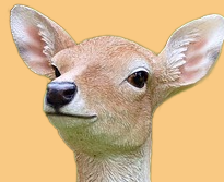 Bambistar's profile picture