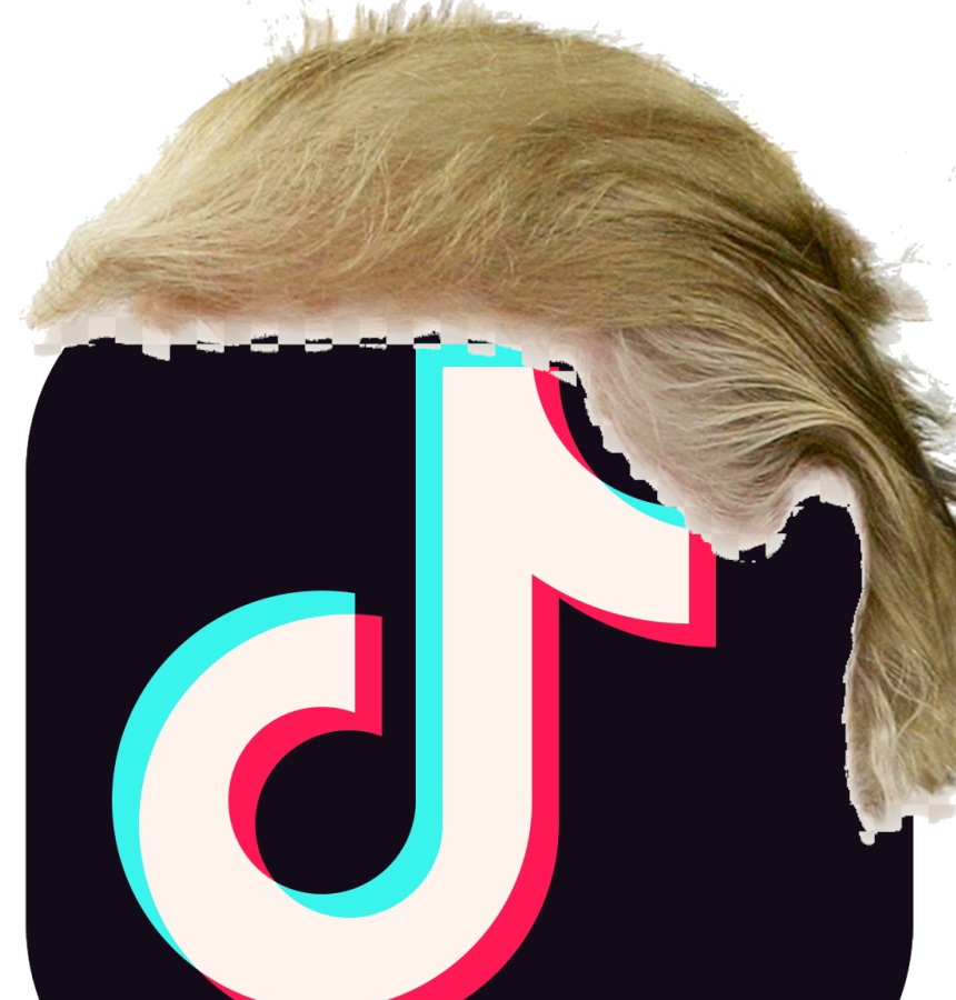 big_back's profile picture